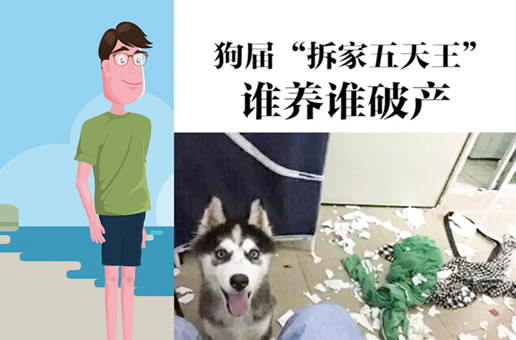 狗界拆家五天王