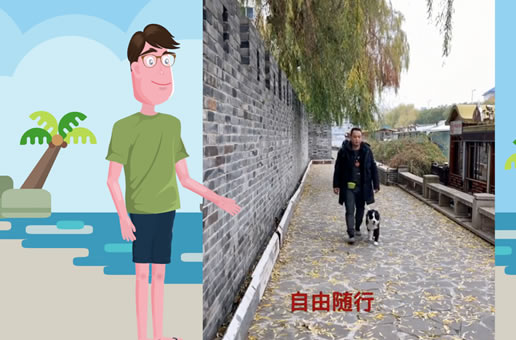 养狗经验分享：狗狗的随行主任训练很重要，简单有效