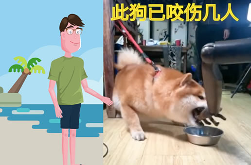 狗狗不护食的驯化很重要，不然真的会咬人