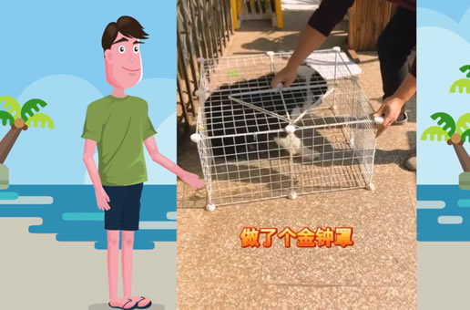 如何教会狗狗不随地大小便