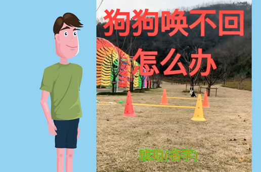狗狗怕丢，唤不回来怎么办
