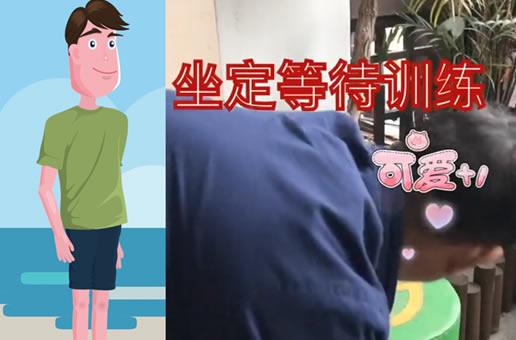 教你如何训练狗狗的坐定等待