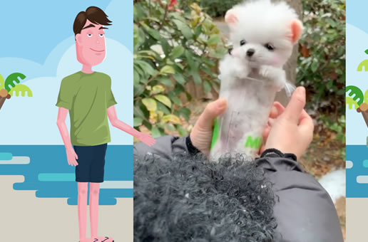 看看我们家的茶杯犬小可爱多娇气，感觉外面冷，就要往我怀里钻