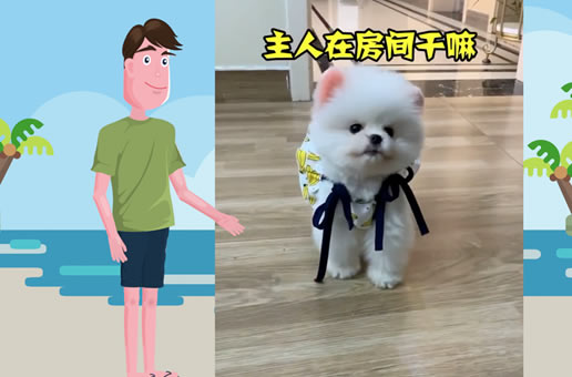 主人沙雕，狗狗也跟着沙雕起来了