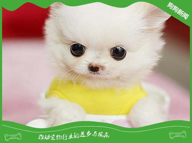 狂犬疫苗有效期是多久？